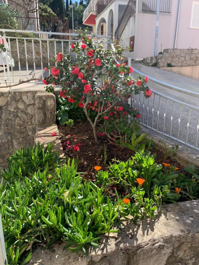Apartments Epidaurus ツァヴタット エクステリア 写真