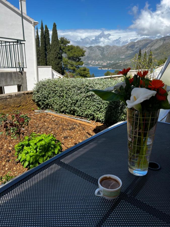Apartments Epidaurus ツァヴタット エクステリア 写真